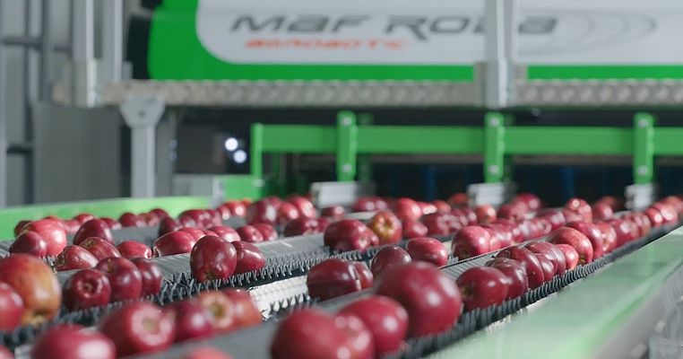 Egemas, 60. yaşını endüstriyel dönüşüm hamlesiyle kutluyor Egemas, 60. yaşını endüstriyel dönüşüm hamlesiyle kutluyor