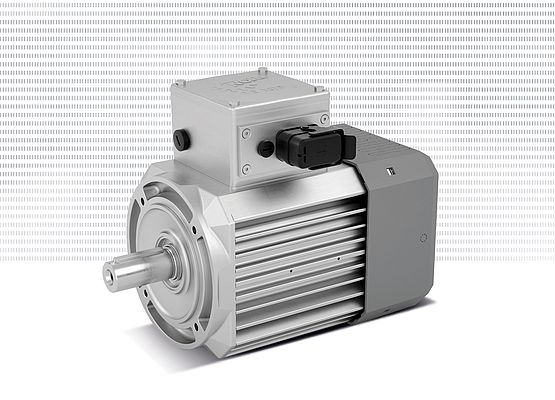 11 kW IE5+ Synchronous Motor 11 kW IE5+ Synchronous Motor