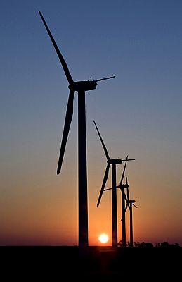 Wind power is gaining popularity as an alternative to fossil fuels.