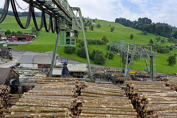 The expansive round timber yard is completely covered by the large gantry crane. A small gantry crane helps its big brother to restack the logs.