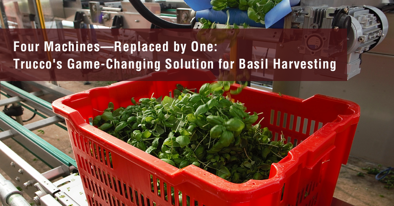 Four Machines - Replaced by One: Trucco's Game-Changing Solution for Basil Harvesting