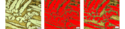Industrial Image Analysis Software Providing Highly Reproducible Analysis Using AI Industrial Image Analysis Software Providing Highly Reproducible Analysis Using AI