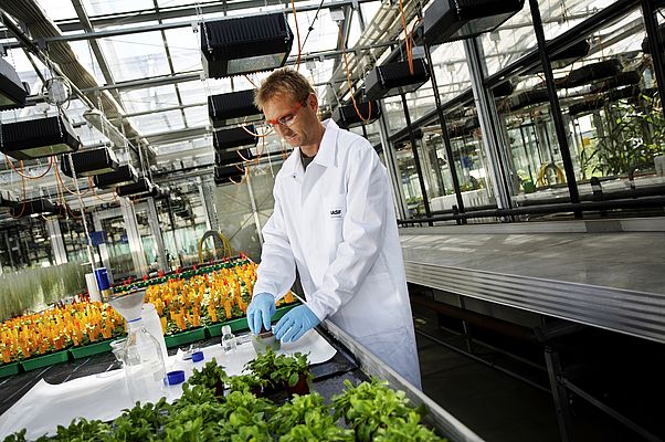 BASF to concentrate plant biotechnology activities