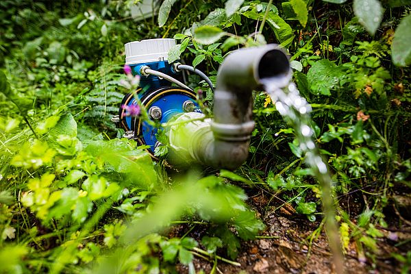The spring on Zeller Blauen is in the middle of the woods, meaning that the discharge can only be monitored with a battery-operated flowmeter.