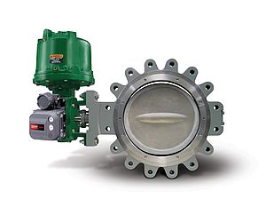 Rotary control valve