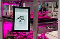 HANNOVER MESSE spotlights pioneering work in industry HANNOVER MESSE spotlights pioneering work in industry