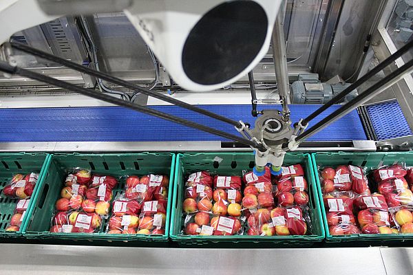 With many end-of-line packing stations now automated, incorporating vision is becoming increasingly commonplace