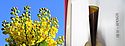 Replacement of Petroleum-Based Raw Materials With Vegetable Proteins Replacement of Petroleum-Based Raw Materials With Vegetable Proteins
