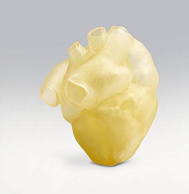 Modello del cuore stampato in 3D