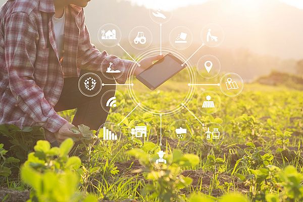 Il processo di digitalizzazione e innovazione è una realtà che si sta facendo largo nelle aziende agricole per migliorare i cicli produttivi