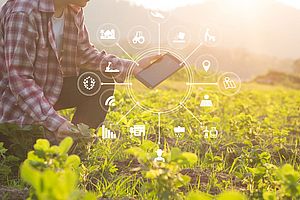 Connettività: 5G, IoT e blockchain per l’agricoltura sostenibile
