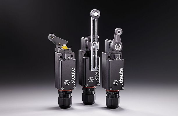 Gli interruttori standard Ex sono disponibili con commutazione lenta o rapida