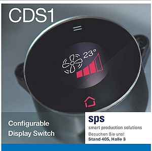 Configurable Display Switch