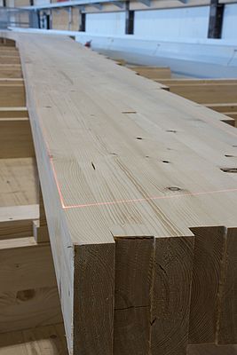 Überall, wo exakte Konstruktionsdaten entscheidend sind, werden die Projektoren eingesetzt: Bei der Vorfertigung von Holztragwerken oder Verbindungselementen ebenso wie in der Möbel- und Bauelementefertigung und an CNC-Anlagen.