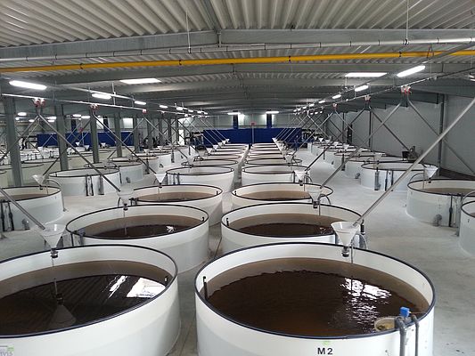 Digitale Messsysteme Einsatzbereit Fur Aquakulturanlagen