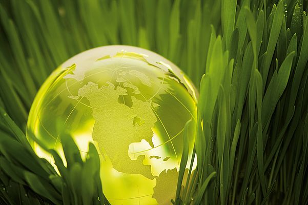 Faulhaber goes Green