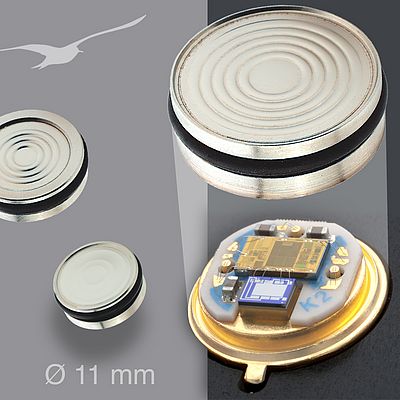 Chip-in-Oil OEM-Drucktransmitter