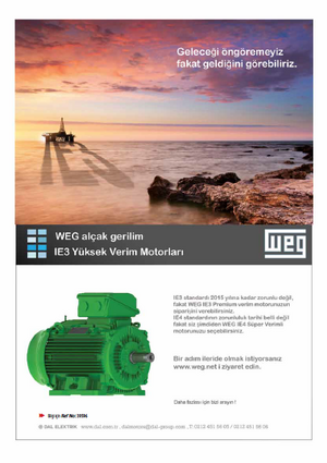 Dal Elektrik; WEG Alçak Gerilim IE3 Yüksek Verim Motorları
