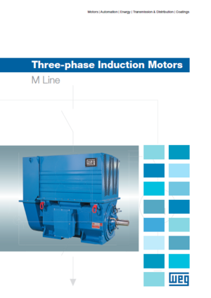 Dal Elektrik; M Line Three-phase Induction Motors