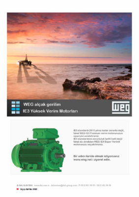 WEG Alçak Gerilim IE3 Yüksek Verim Motorları