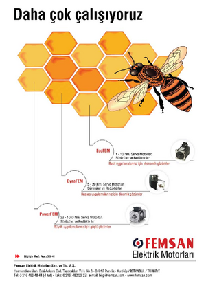 Elektrik Motorlarinda Femsan kalitesi