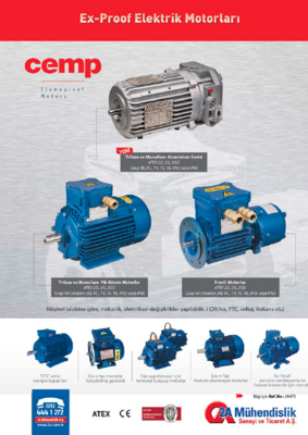 Ex-proof Elektrik Motorları