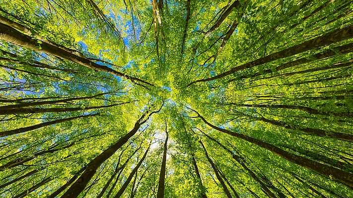 ABB, TIME’ın “Dünyanın En SürdürülebilirŞirketleri 2025” Listesinde Yer Aldı