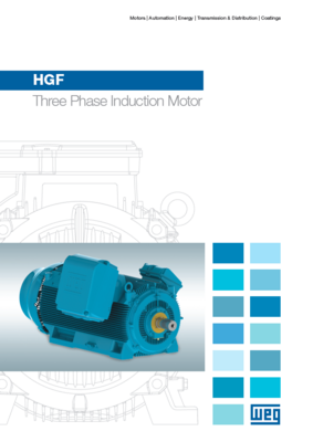 HGF Three Phase Induction Motor
