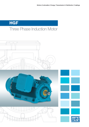 HGF Three Phase Induction Motor