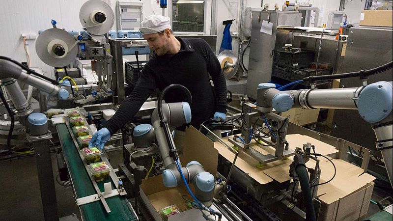 Robotik Üretimin İnsan Tarafı: Geleceği Kodlarken Sahadan Öğrendiklerimiz