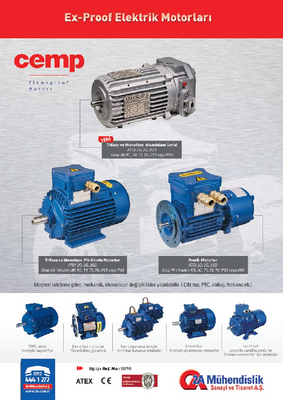 Ex-Proof Elektrik Motorlari