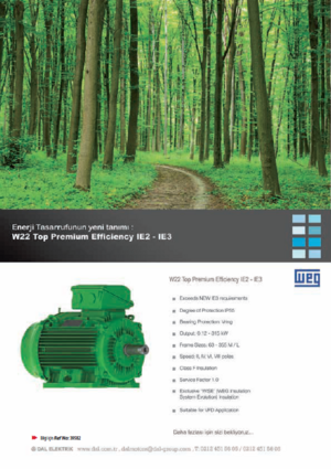 Enerji Tasarrufunun yeni tanımı: W22 Top Premium Efficiency IE2-IE3