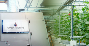 Energy Savings in Cucumber Cultivation
