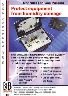 NEPS1000 purge system