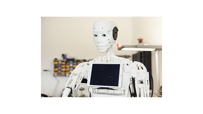 3D-printed Humanoid Robot