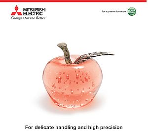 For Delicate Handling and High Precision