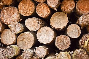 Wood – a natural resource
