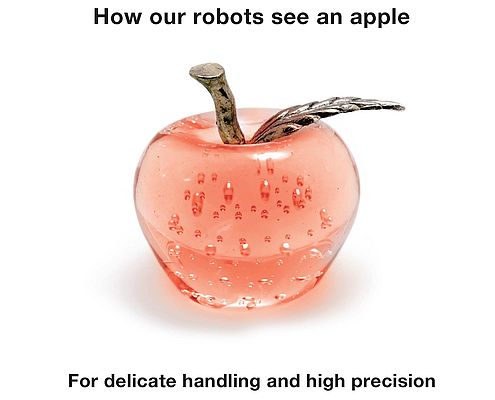 How Our Robots See an Apple