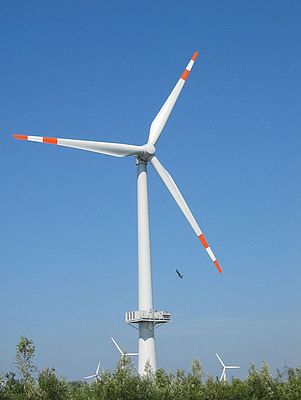 Single Bearing Designs for Wind Turbines