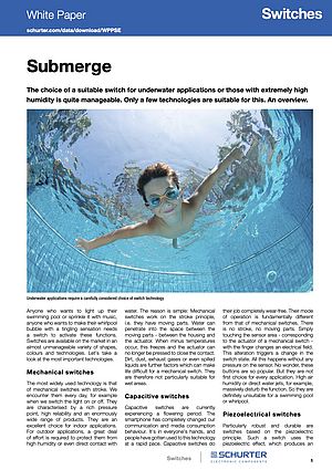 An Overview on the Choice of a Suitable Switch for Underwater Applications