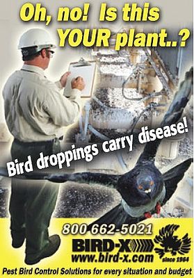 Pest bird control solutions