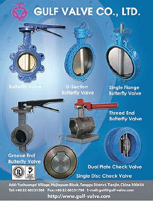 Butterfly and check valves
