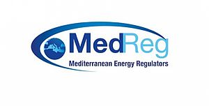 Launching event of the Euro-Med platforms