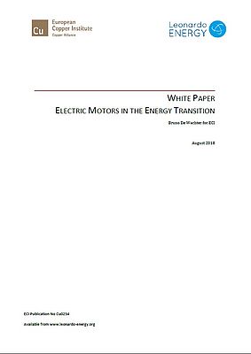 Electric Motors in the Energy Transition