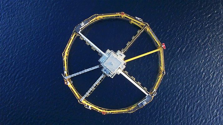 Continental’s closed Sicon conveyor belt systems are optimally designed for the gentle and careful transportation of fish feed on Ocean Farm 1 (Photo: SalMar)