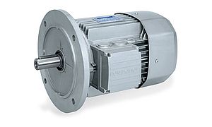 Synchronous Reluctance Motor BSR