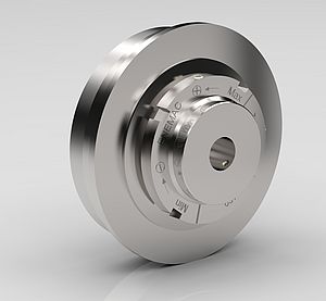Torque Limiter made of Stainless Steel