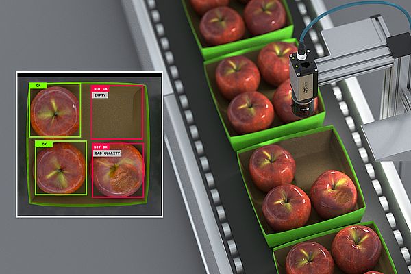 Checking the completeness and quality of variant-rich products in trays on a conveyor belt are typical tasks for intelligent systems such as IDS NXT.