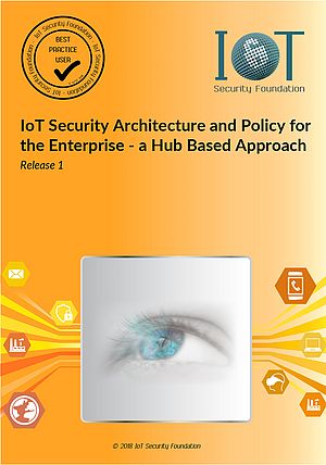Enterprise IoT Security Architecture and Policy