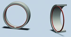 Constant section rings
